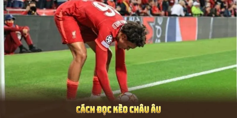 Cách đọc kèo châu Âu cực chuẩn từ nhà cái 188Bet